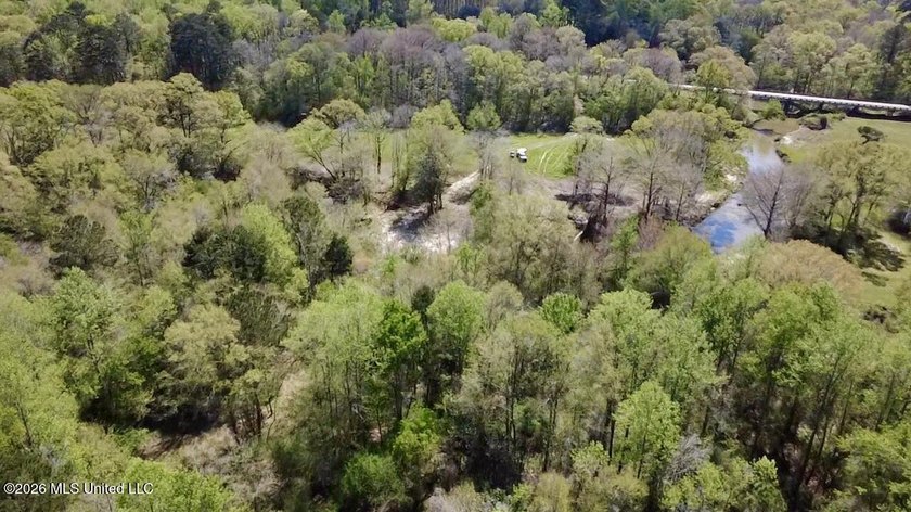 This 139 +/- acre property is located in Covington County, MS - photo 25