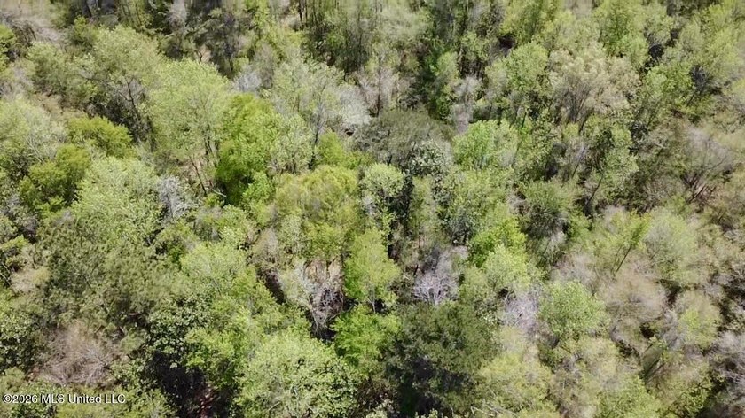 This 139 +/- acre property is located in Covington County, MS - photo 26