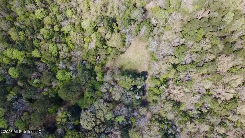 This 139 +/- acre property is located in Covington County, MS - photo 29
