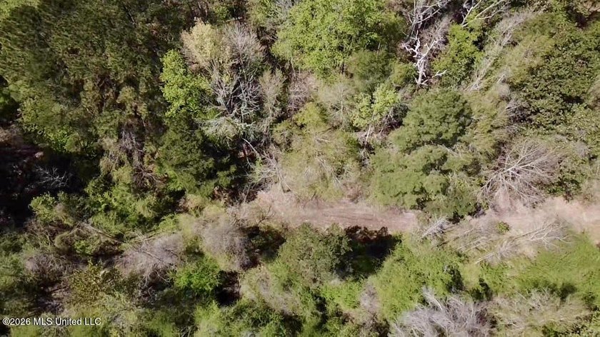 This 139 +/- acre property is located in Covington County, MS - photo 31