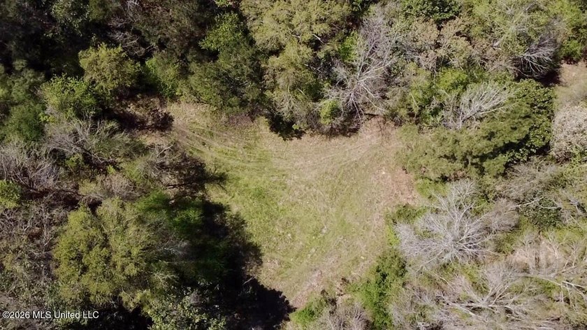 This 139 +/- acre property is located in Covington County, MS - photo 33