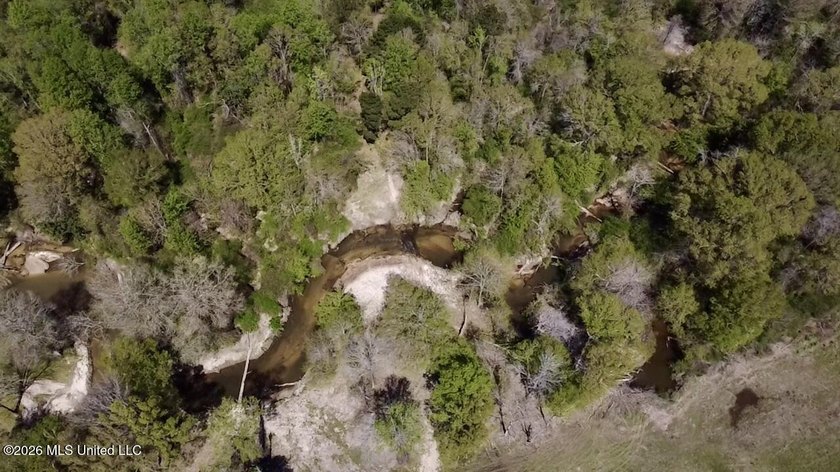 This 139 +/- acre property is located in Covington County, MS - photo 34