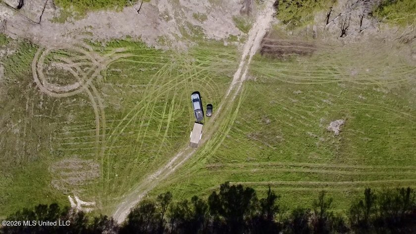 This 139 +/- acre property is located in Covington County, MS - photo 35