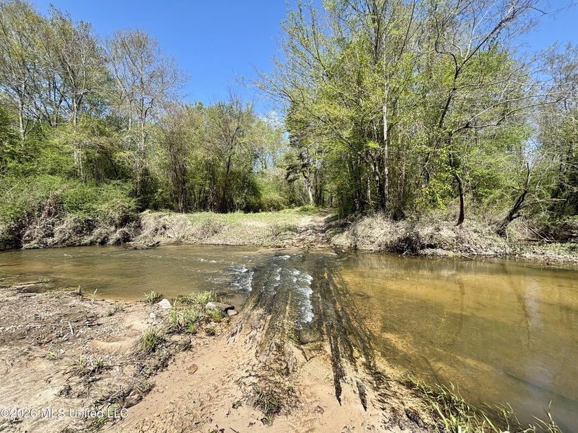 This 139 +/- acre property is located in Covington County, MS - photo 36
