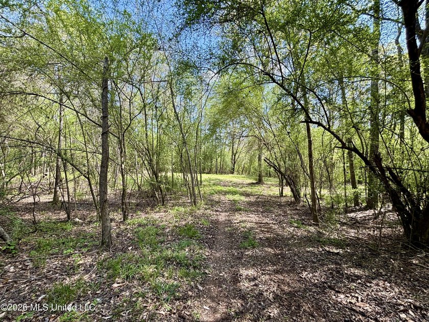 This 139 +/- acre property is located in Covington County, MS - photo 37