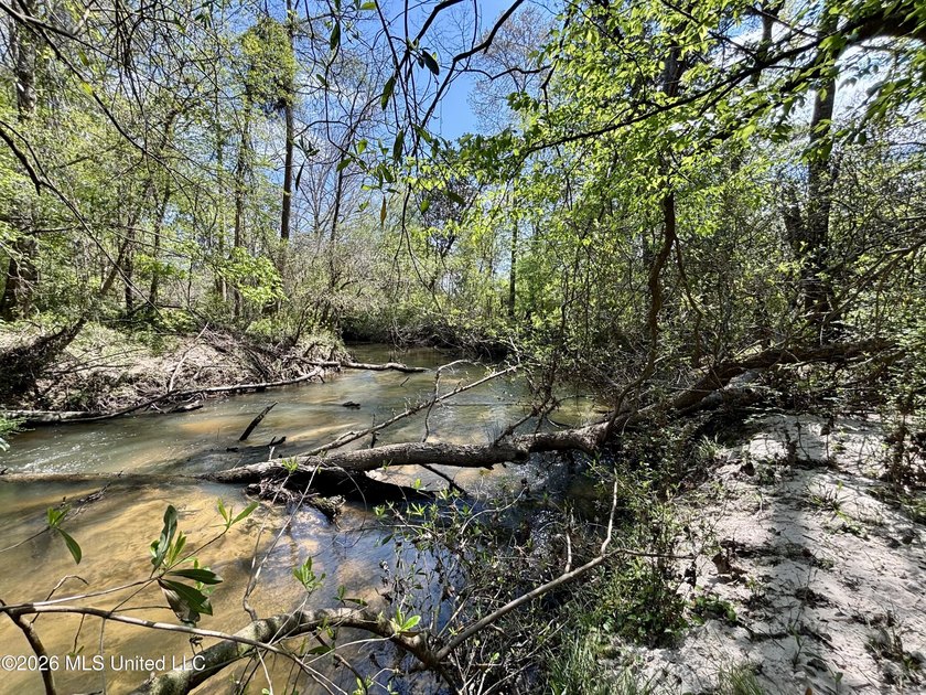 This 139 +/- acre property is located in Covington County, MS - photo 40