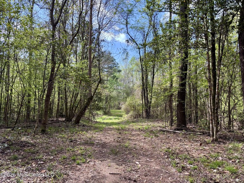 This 139 +/- acre property is located in Covington County, MS - photo 41