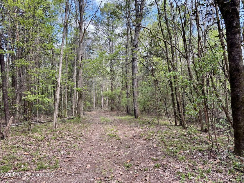 This 139 +/- acre property is located in Covington County, MS - photo 42