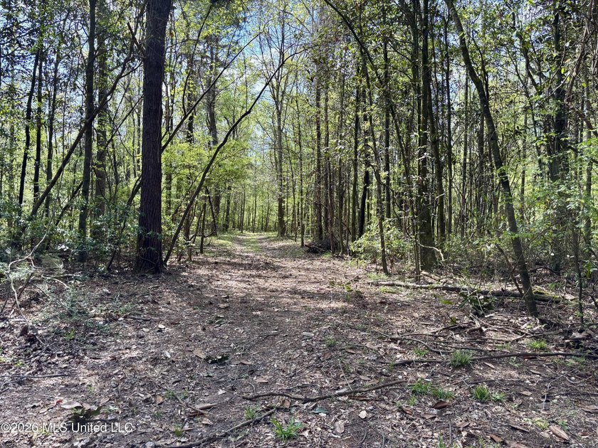 This 139 +/- acre property is located in Covington County, MS - photo 43