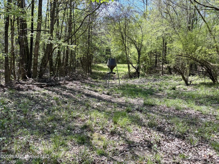 This 139 +/- acre property is located in Covington County, MS - photo 44