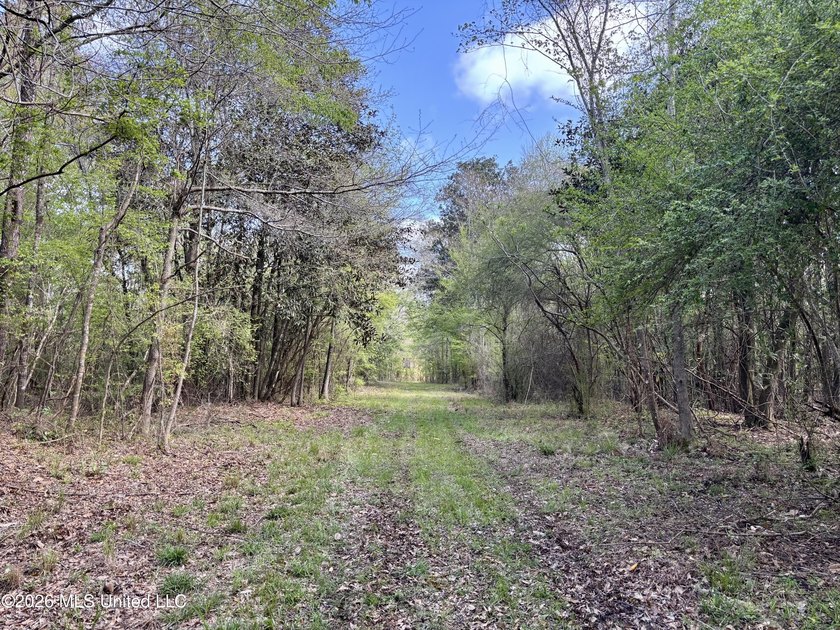 This 139 +/- acre property is located in Covington County, MS - photo 46