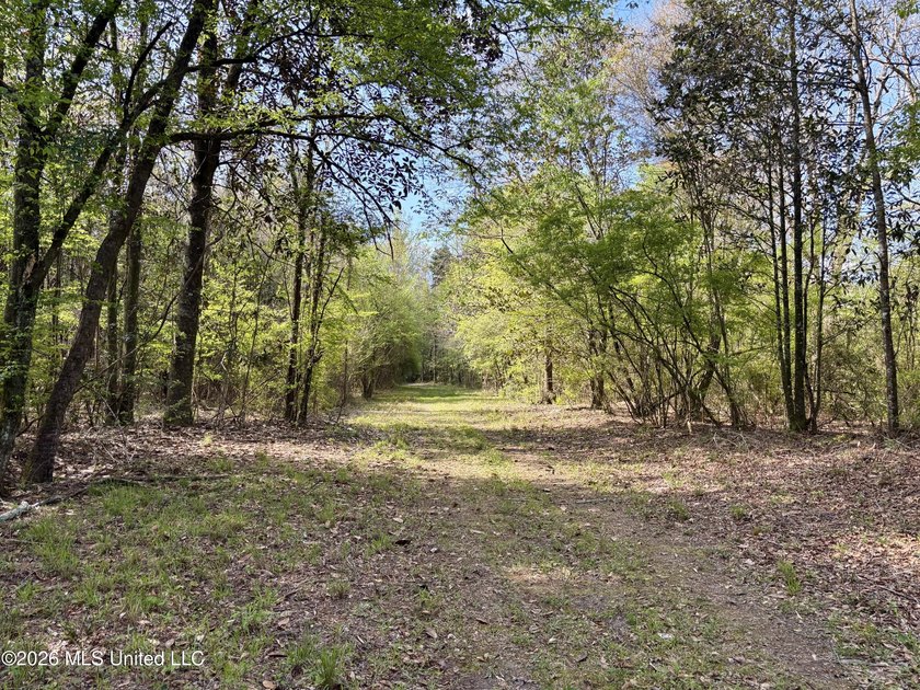 This 139 +/- acre property is located in Covington County, MS - photo 48