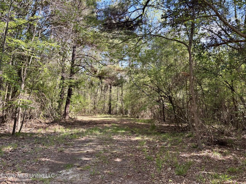 This 139 +/- acre property is located in Covington County, MS - photo 50