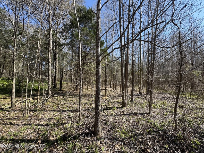 Don't Miss This Opportunity in Yazoo County, MS! Looking for the - photo 11