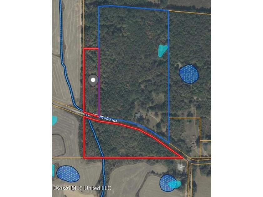 Don't Miss This Opportunity in Yazoo County, MS! Looking for the - photo 16
