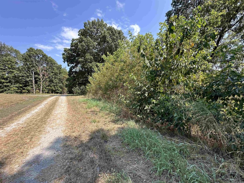 Build your dream home on this 3 acre property in Horseshoe Bend - photo 2