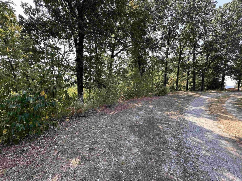 Build your dream home on this 3 acre property in Horseshoe Bend - photo 3