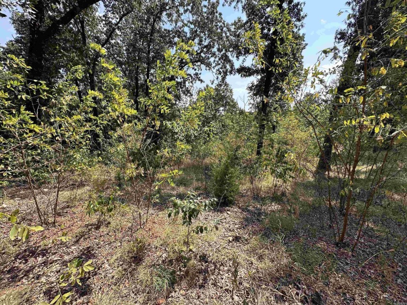 Build your dream home on this 3 acre property in Horseshoe Bend - photo 5