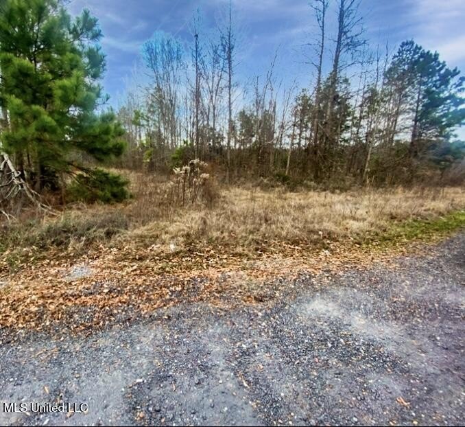 Discover a rare opportunity with this prime 40-acre parcel - photo 5