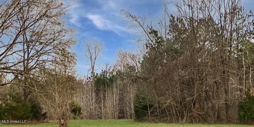 Discover a rare opportunity with this prime 40-acre parcel - photo 6