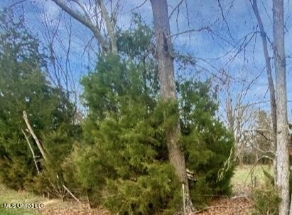 Discover a rare opportunity with this prime 40-acre parcel - photo 8