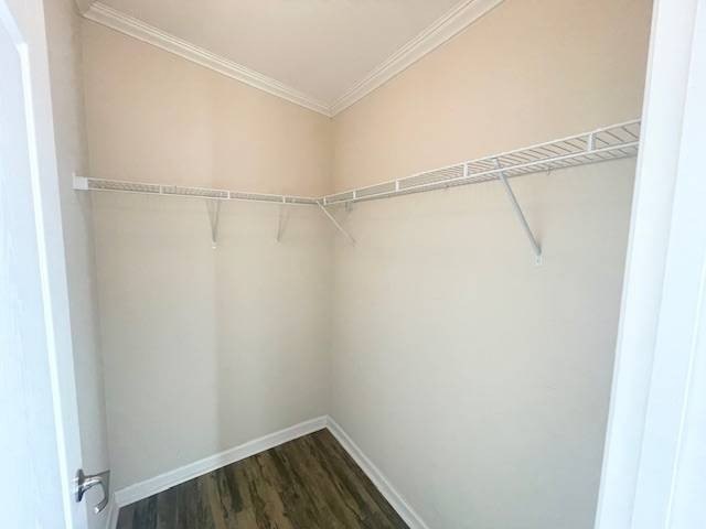 Paradise awaits you with this LIKE NEW, VERY Spacious 2 Bedroom - photo 21