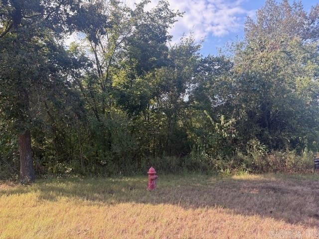 1.68-acre Norfork River lot. In town and outside a flood zone - photo 4
