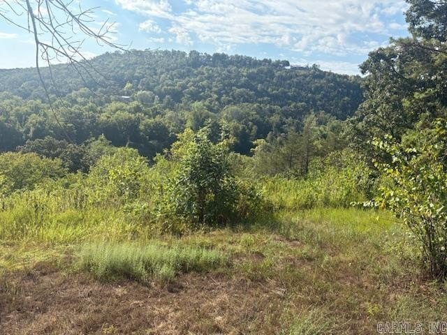 1.68-acre Norfork River lot. In town and outside a flood zone - photo 6