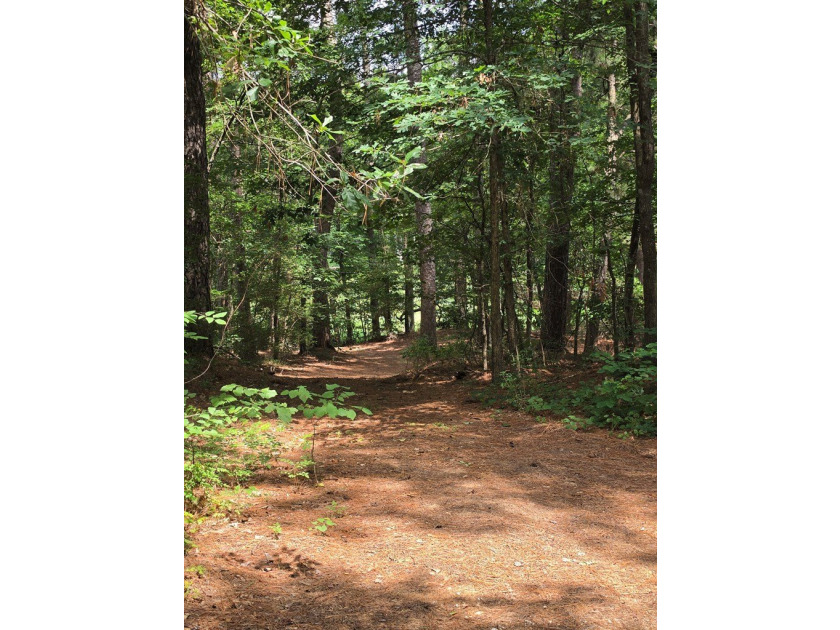 Discover the perfect blend of open pasture, mature woods, and - photo 11