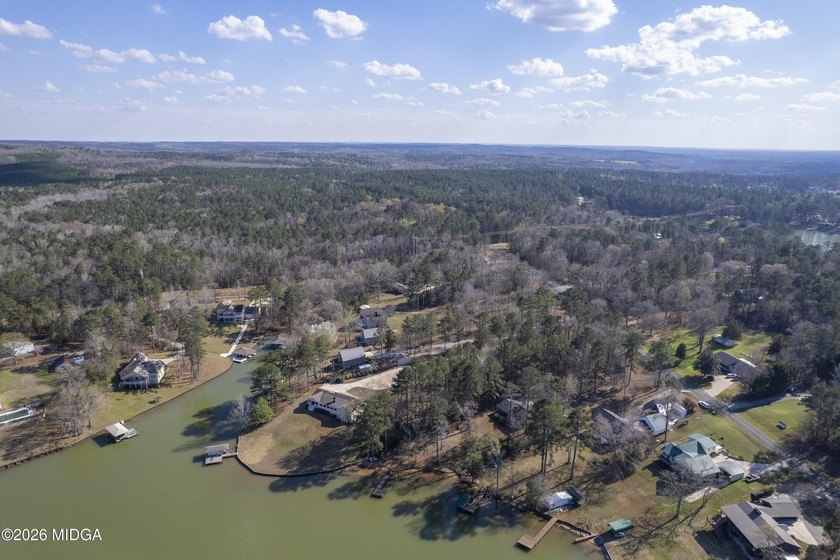 Welcome to 291 Jule Ingram Rd NE on beautiful Lake Sinclair - photo 43