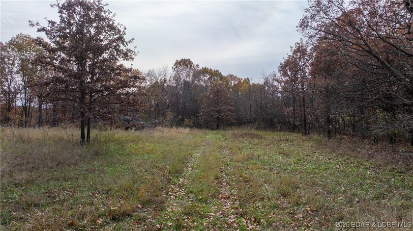 Interested in having BOTH acreage AND lake? This property - photo 11