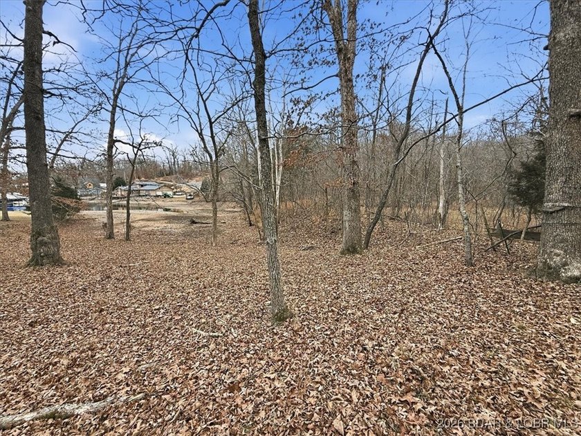 Interested in having BOTH acreage AND lake? This property - photo 12