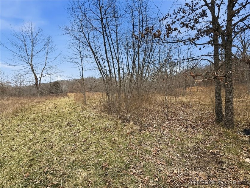 Interested in having BOTH acreage AND lake? This property - photo 14