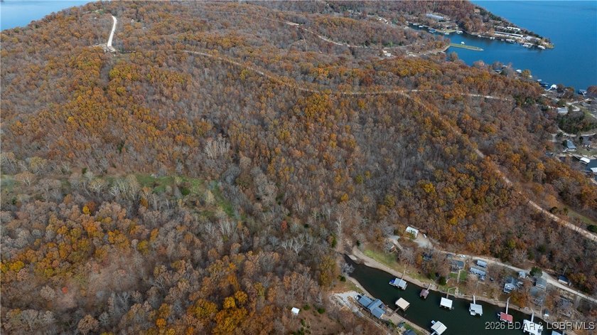 Interested in having BOTH acreage AND lake? This property - photo 17