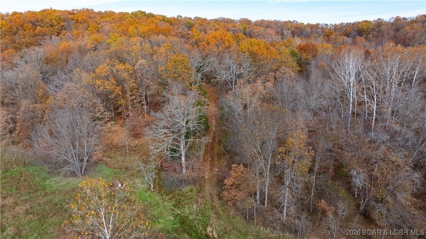 Interested in having BOTH acreage AND lake? This property - photo 19