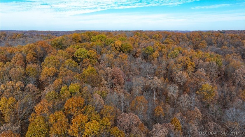 Interested in having BOTH acreage AND lake? This property - photo 20