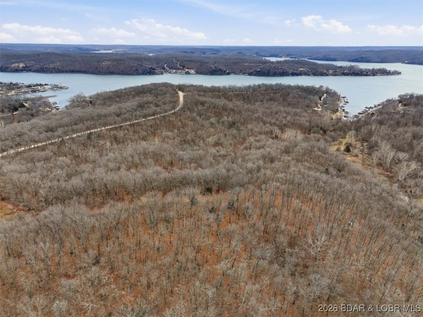 Interested in having BOTH acreage AND lake? This property - photo 23