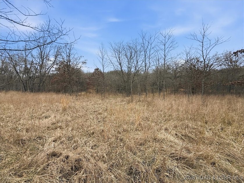 Interested in having BOTH acreage AND lake? This property - photo 29