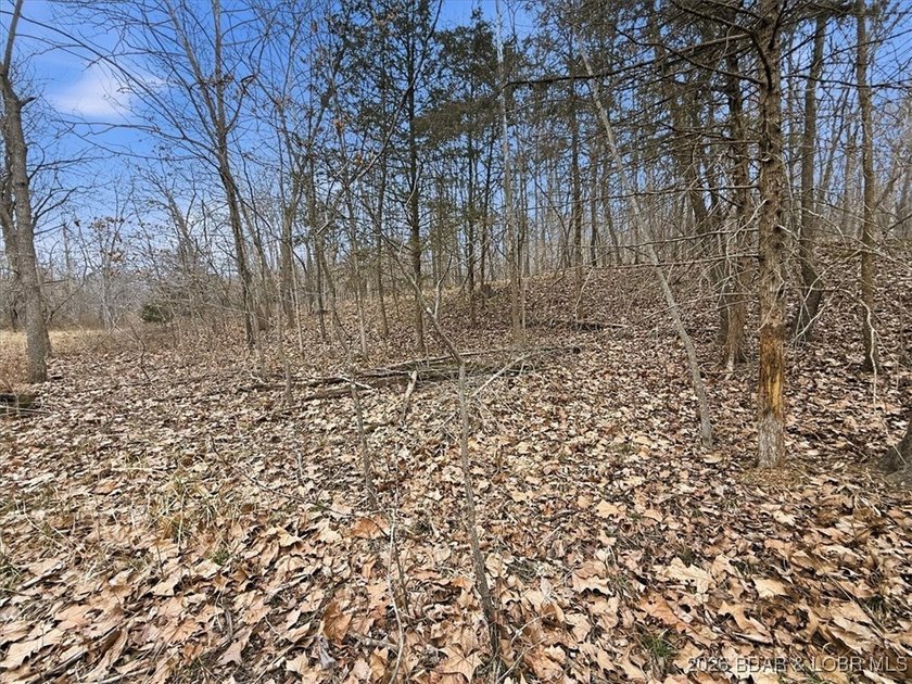 Interested in having BOTH acreage AND lake? This property - photo 31