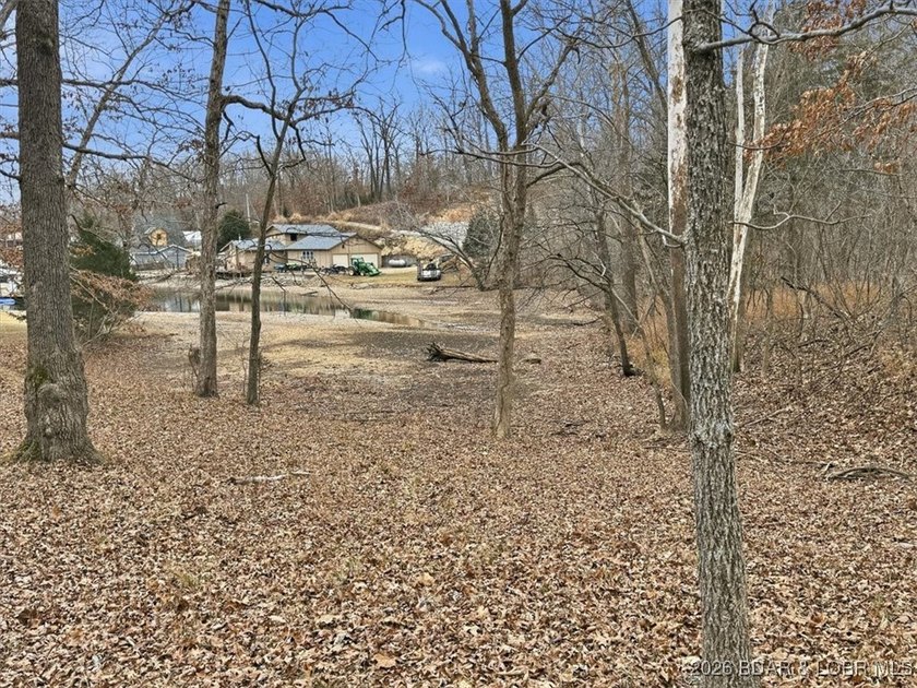 Interested in having BOTH acreage AND lake? This property - photo 32