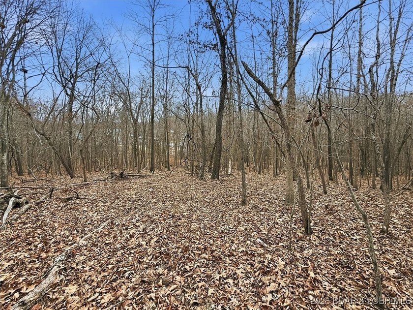Interested in having BOTH acreage AND lake? This property - photo 33