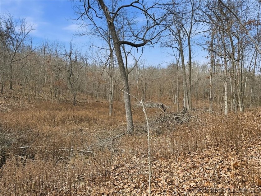 Interested in having BOTH acreage AND lake? This property - photo 34