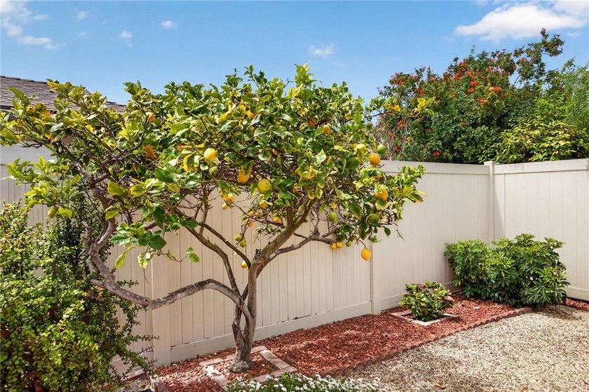 55+ Coastal Living at its best in Hueneme Bay! 3 Bedroom 3 - photo 34