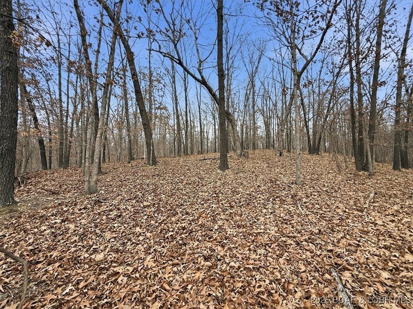 Interested in having BOTH acreage AND lake? This property - photo 35