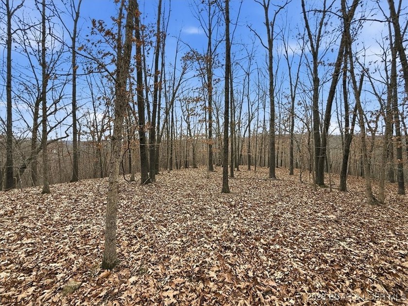 Interested in having BOTH acreage AND lake? This property - photo 36