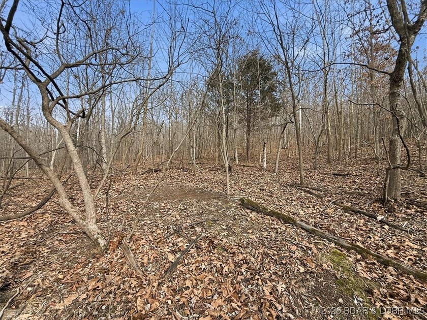 Interested in having BOTH acreage AND lake? This property - photo 42