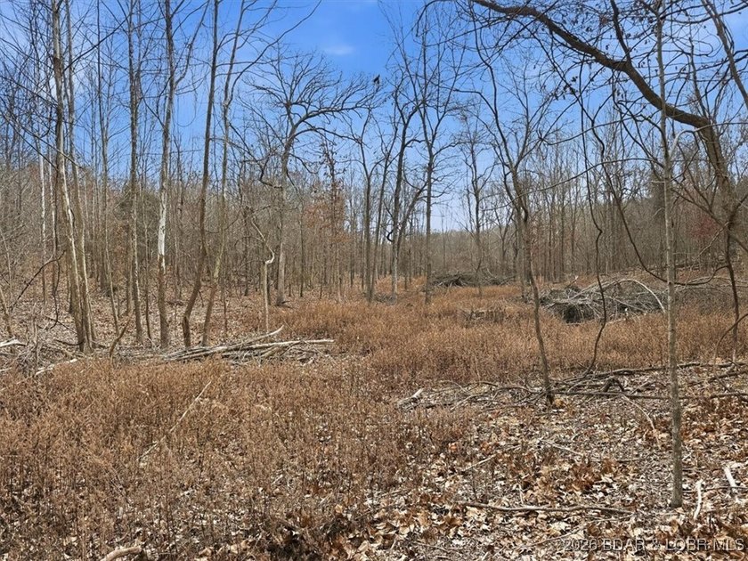 Interested in having BOTH acreage AND lake? This property - photo 43