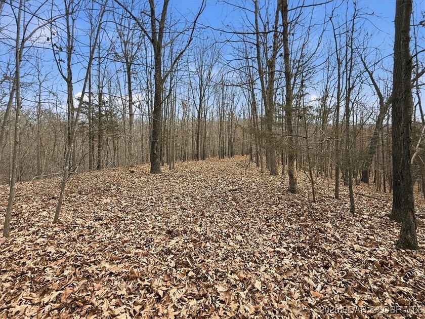 Interested in having BOTH acreage AND lake? This property - photo 46