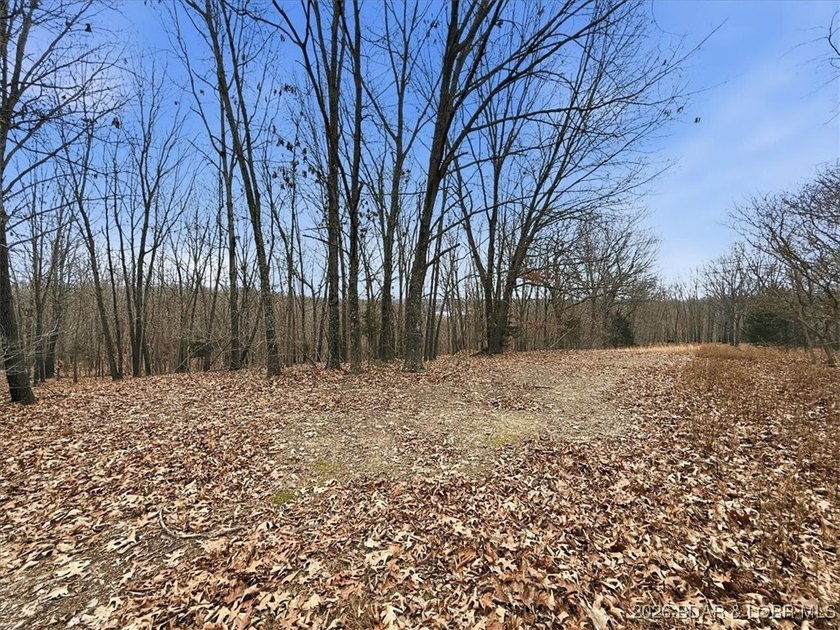 Interested in having BOTH acreage AND lake? This property - photo 47