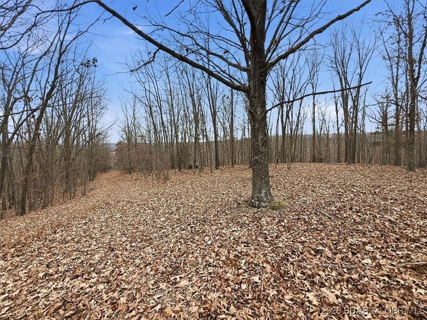 Interested in having BOTH acreage AND lake? This property - photo 48